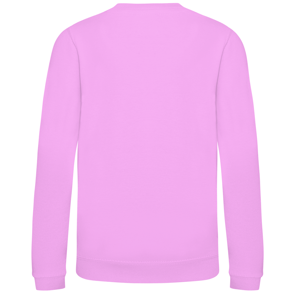 Islandpferde  Kinder Sweatshirt Tölt