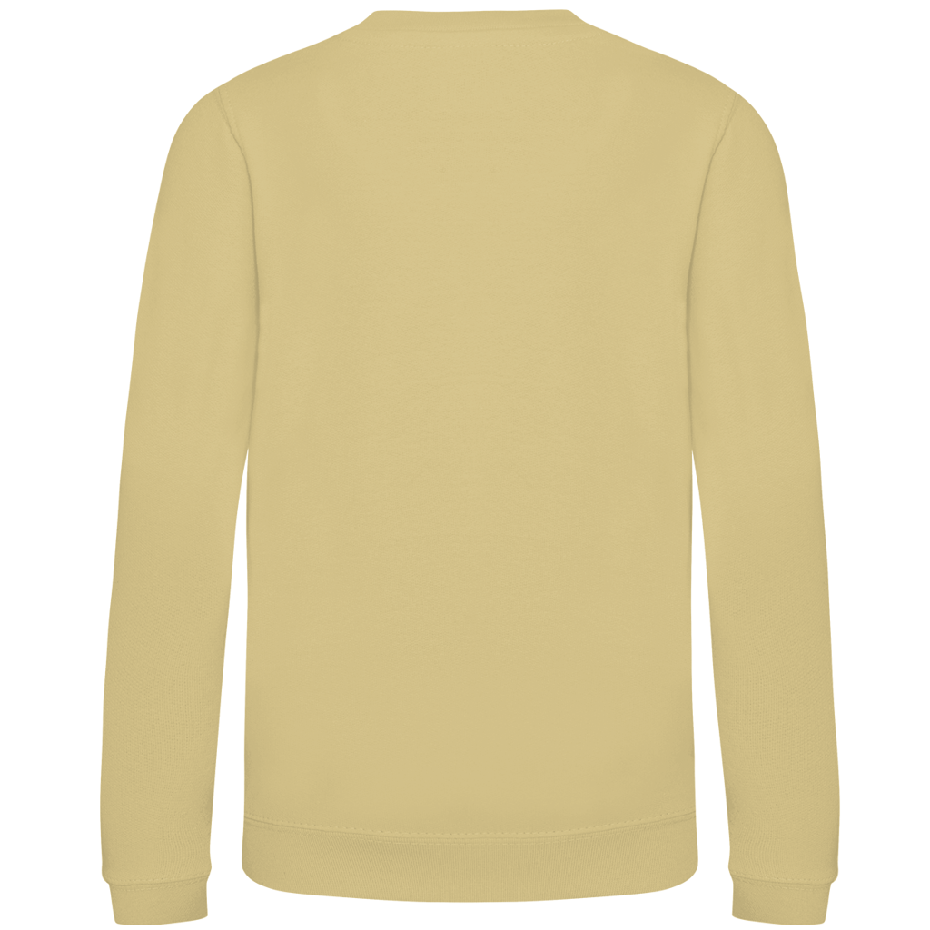 Islandpferde  Kinder Sweatshirt Tölt
