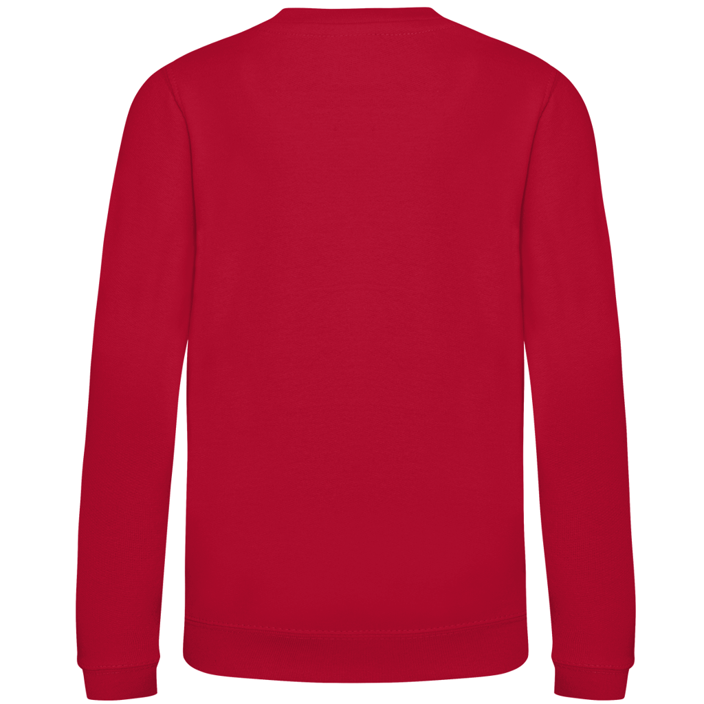 Islandpferde  Kinder Sweatshirt Tölt