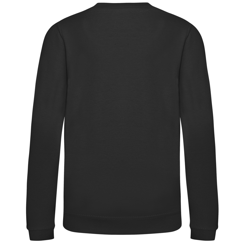 Islandpferde  Kinder Sweatshirt Tölt