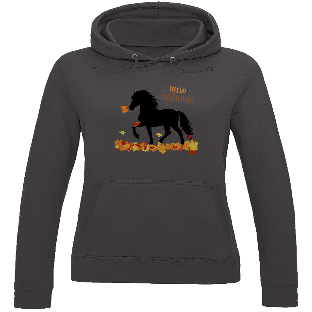 Islandpferde Damen Hoodie - Islandpferde Herbst